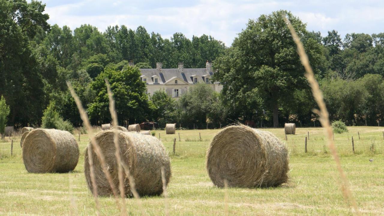 Chateau La Mothaye - Self Catering Apartments With Pool In The Loire Valley Les Bois-d'Anjou Zewnętrze zdjęcie