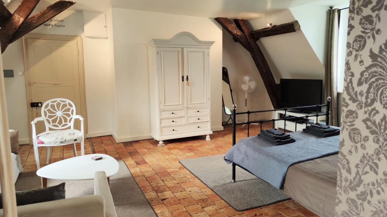 Chateau La Mothaye - Self Catering Apartments With Pool In The Loire Valley Les Bois-d'Anjou Zewnętrze zdjęcie