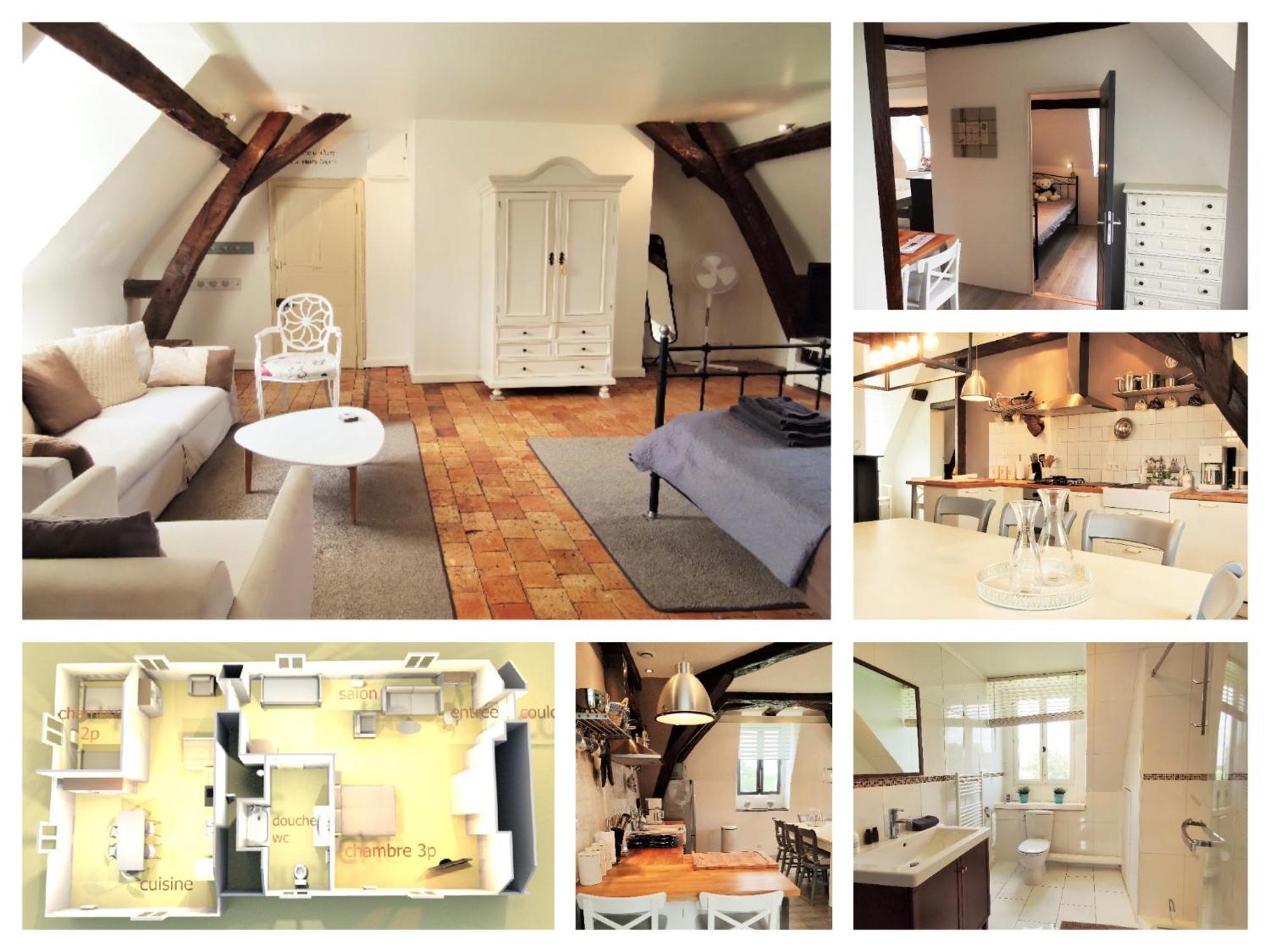 Chateau La Mothaye - Self Catering Apartments With Pool In The Loire Valley Les Bois-d'Anjou Zewnętrze zdjęcie