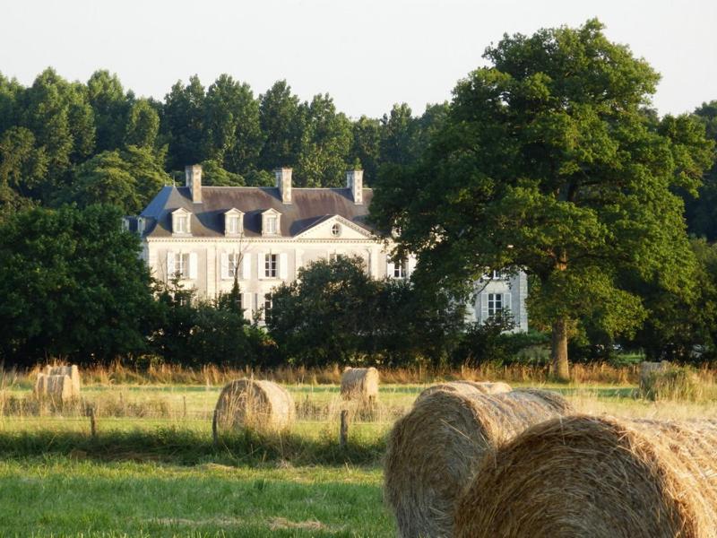 Chateau La Mothaye - Self Catering Apartments With Pool In The Loire Valley Les Bois-d'Anjou Pokój zdjęcie